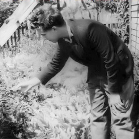 , 1962 .