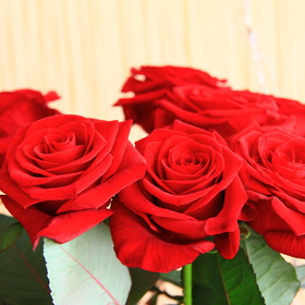    8    MySSSR